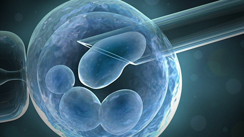 广州第三代试管机构：做供卵试管婴儿需要多少钱？