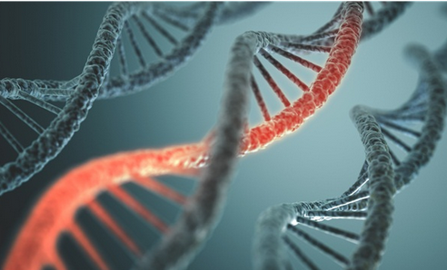 广州供卵试管机构：捐卵试管十次还没成功？怎么提高第三代试管成功率？ 