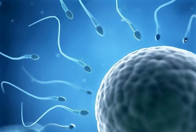 郑州试管机构：做泰国第三代试管婴儿私人机构（中介）如何选择？