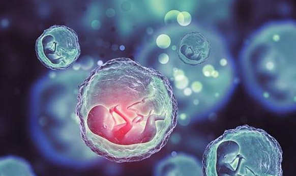 广州第三代机构：泰国试管婴儿一次成功，离不开哪些原因？