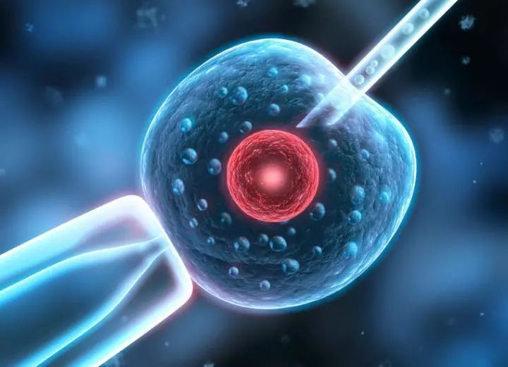 广州供卵中心：广州三代试管婴儿哪些医院可以包成功？